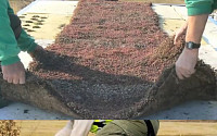 세계 최초 텃밭 버스 제작 과정 보니 “비밀은 격자덮개”