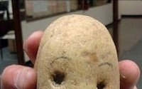 외계인 감자 2탄…앙다문 입보다 콧구멍에 눈길 “그러나 인공 스멜~”