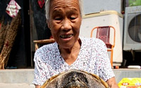 500살 거북이 발견, 조선시대에 태어나 &quot;엄청난데?&quot;