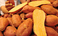 고구마 GI지수, 감자보다 낮아…얼마길래?