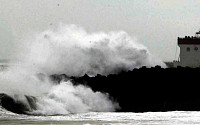 '태풍 다나스' 영향 제주도, 강풍에 비…여객선 전면 통제·한라산 입산 금지