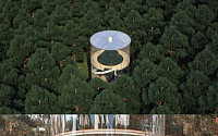 숲 속의 투명한 유리 집 “자연 그대로…4억원으로 만든 아름다운 집”