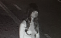 [포토]여장하고 뒤따라가 성추행한 20대