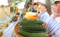 오이 칼로리, 김밥과 공기밥 비교해 보니...