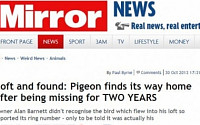 집 찾아온 비둘기…2년 만에 집으로, 세상에 이런 일이?