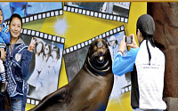 바다사자 '방울이' 건강이상… 서울동물원 동물쇼 전면 폐지