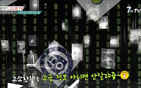 일베로고, 또 방송 등장…tvN측 &quot;방송 담당자 실수&quot;
