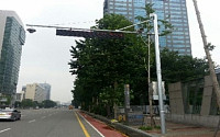 서울시, 한달 간 자전거도로 불법 주정차 179건 적발