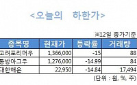 [오늘의 하한가]‘상폐’ 경고등 켜진 우선주, 하한가 직행