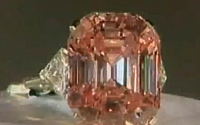 세계 최대 다이아몬드 낙찰, 388억원...세금만 무려 수 십억