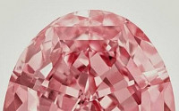 세계 최대 다이아몬드 낙찰...60캐럿 '핑크스타' 890억에 팔려