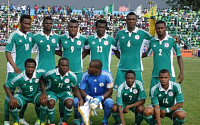 나이지리아-코트디부아르,  브라질 월드컵 본선 진출