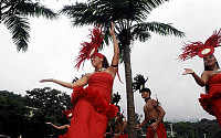 [포토] 훌라춤 선보이는 폴리네시안 문화센터 공연단