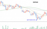 [증권사 차트관심주] 현대백화점, 상승반전형 _ 대우證