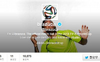 브라질 월드컵 공인구 '브라주카', 트위터도 있네