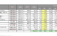 친디아 펀드의 '재림'