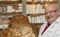 12kg 자이언트 버섯, 식용으로는 불가능 "왜?"