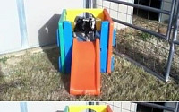 겁쟁이 염소, 타자마자 기절해 '웃음폭탄'..."유재석보다 겁 더 많네"