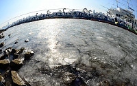 한강 올겨울 첫 결빙…평년보다 보름 빨랐다