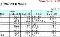 [기관 따라잡기] 프로그램 매매 중심 매수세