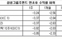 삼성전자 어닝쇼크에 그룹주펀드 ‘덜덜’