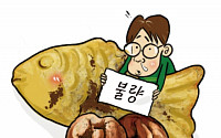 [온라인 와글와글]겨울철 아이들 간식 붕어빵·호떡도 불량원료라니…