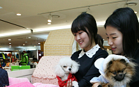 ‘개(犬)나다 구스’ 인기…아이파크백화점, 반려동물 방한상품전