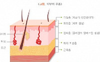 피부 노화의 원인, &quot;알아도 끊을 수 없어&quot;