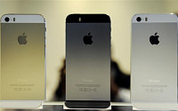 애플, 하반기 더 큰 아이폰 2개 모델 나온다