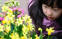 [포토]꽃소녀, '봄이 오네요'