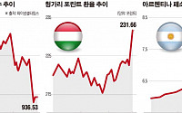 G2마저 먹구름…신흥시장 ‘퍼펙트스톰’ 오나