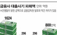 금융사 3000억 대출사기 6년간 몰랐다