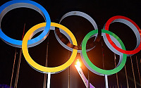 [소치올림픽]동계올림픽 첫 출전 토고 “메달 따러 왔다… 세상 놀라게 할 것”