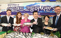 롯데마트 “아일랜드 고등어 첫선…40% 할인 판매”