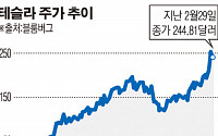 테슬라 주가 1년 간 619% 급등