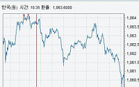 [종합]환율 1060원선 지켜져…미 고용지표 발표 앞두고 관망세 영향