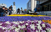[포토]광화문 광장에 찾아온 봄