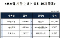 [코스닥 기관 순매수 상위 10개 종목]