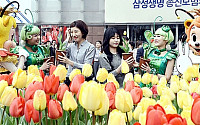 봄꽃 축제 일정…야간 꽃놀이에 관심 집중 &quot;어디?&quot;