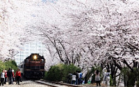 인터파크투어 “봄꽃 여행상품 인기 1위는 매화”