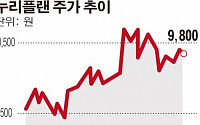 한 회사 두 대표… 누리플랜, 한날에 두 주총