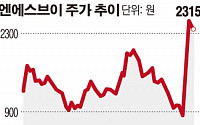 [SP] 엔에스브이, 영업익 7억 → 영업손 64억 정정 왜?