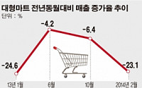 [종합]'불안한' 대형마트…2월 매출 13개월來 최저·8분기째 하락 전망