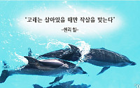 [오늘의 한줄 명언]"고래는 살아있을 때만 작살을 맞는다" -헨리 힐