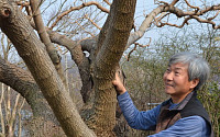 "세월이 빚은 살아있는 예술품… 세상에 똑같은 나무는 없어"
