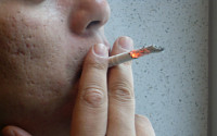 [포토] 백유진 교수팀, &quot;순한 담배도 니코틴 흡수율 큰 차이 없다&quot;