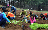 [포토뉴스] "도심텃밭 가꾸며 가족愛 키워요"