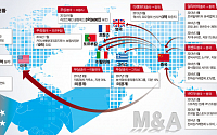 [중국 기업의 왕성한 식욕-글로벌 M&amp;A 열풍] 민간기업, 신성장동력 찾아 화끈한 M&amp;A