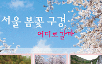 [인포그래픽] 서울 봄꽃 구경 어디로 갈까~?