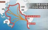 칠레 지진, 일본 '쓰나미 방파제' 역할 했다… 우리나라에 영향 없었던 이유